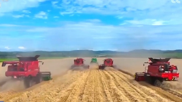 我國糧食供給保障能力持續(xù)增強(qiáng)