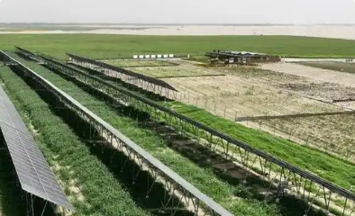 中廣核扎根新疆十六載 “風(fēng)光”無限繪就興業(yè)富民新藍(lán)圖