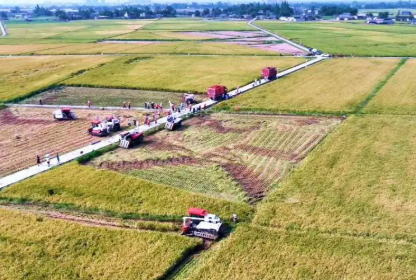 打造更高水平“天府糧倉”——四川加快推進農(nóng)業(yè)現(xiàn)代化觀察