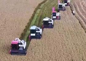 一大批農(nóng)產(chǎn)品正走向你的餐桌！全國(guó)秋糧收獲近四成