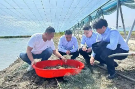 江蘇出臺(tái)農(nóng)擔(dān)高質(zhì)量發(fā)展意見(jiàn)