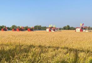 黑龍江智能秋收跑出“加速度” 已收完六成14455萬畝