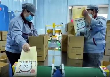 全球“喵星人”愛寧城——探訪“中國貓砂之鄉(xiāng)”