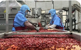 重慶調(diào)味品產(chǎn)業(yè)規(guī)模破300億元