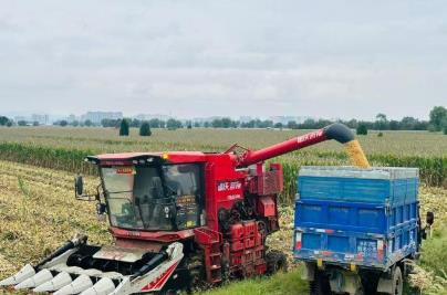 河南農(nóng)業(yè)必須闖過“多雨常態(tài)”這道關