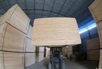 廣西融安發(fā)布19項團體標準護航“中國香杉板材之鄉(xiāng)”產(chǎn)業(yè)升級