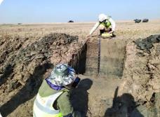 廣東省大力加強專家技術(shù)指導(dǎo) 護航提高普查成果質(zhì)量