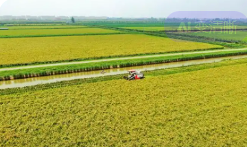 安徽省肥西縣建設(shè)現(xiàn)代農(nóng)業(yè)產(chǎn)業(yè)園興產(chǎn)業(yè)帶就業(yè)促增收