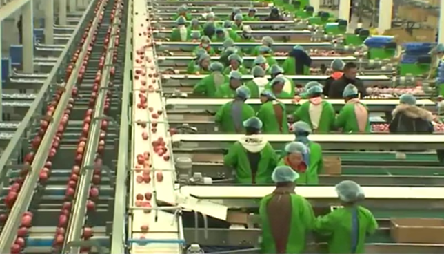 我國脫貧地區(qū)發(fā)展活力持續(xù)增強