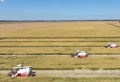 多舉措?yún)f(xié)同全力推進(jìn)秋收 高科技農(nóng)機(jī)與時(shí)間“賽跑”搶收搶種