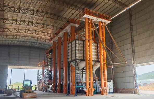 同心筑糧安 廣東省屬企業(yè)以實干護好群眾“盤中餐”