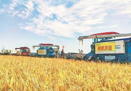 黑龍江：因地制宜施策 秋收顆粒歸倉