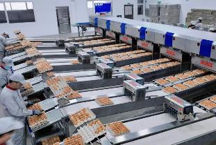 明年1月1日起施行 《蛋制品生產(chǎn)許可審查細則（2025版）》發(fā)布