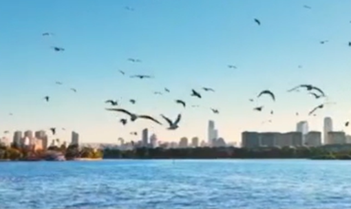 “十四五”我國水利建設實現(xiàn)跨越式發(fā)展