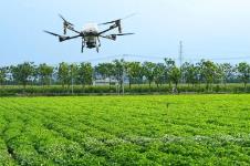 風(fēng)雨之下穩(wěn)糧倉(cāng)——河南農(nóng)業(yè)生產(chǎn)的“韌性密碼”