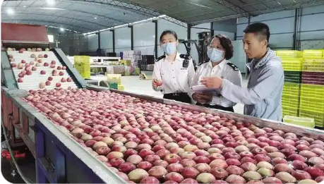 1月至9月青海農(nóng)產(chǎn)品出口增速居全國第一