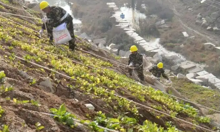 湖北率先發(fā)布兩項(xiàng)礦山修復(fù)標(biāo)準(zhǔn)