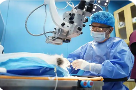 供需失衡、標(biāo)準(zhǔn)不一、監(jiān)管滯后：寵物醫(yī)療市場亟待規(guī)范