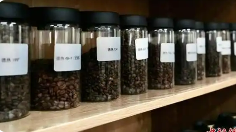 保存種質(zhì)資源超千份 中國咖啡“芯片工廠”扎根邊城瑞麗