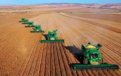 內(nèi)蒙古呼倫貝爾800萬(wàn)畝玉米開(kāi)鐮 多項(xiàng)農(nóng)技賦能單產(chǎn)創(chuàng)新高