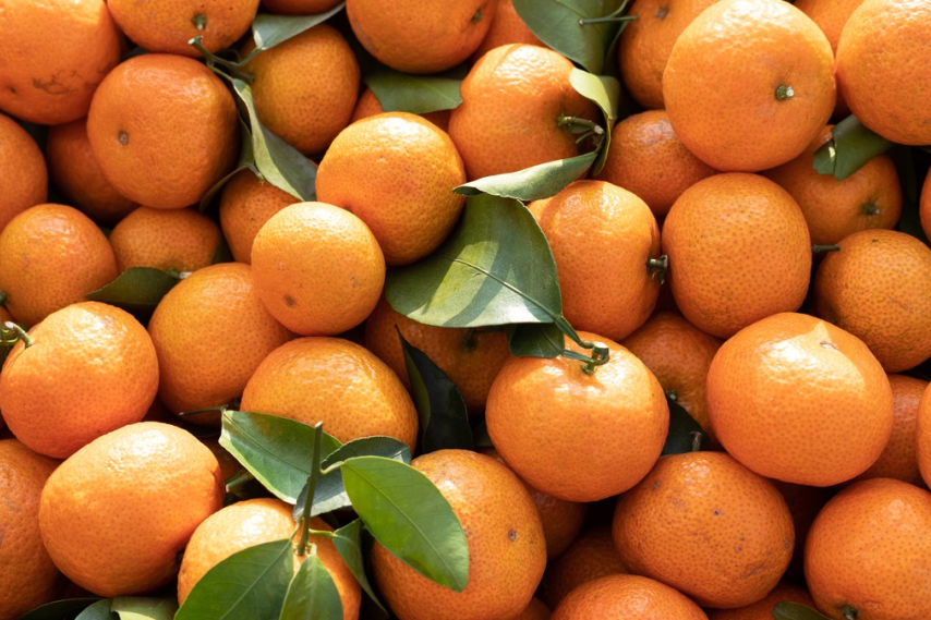 1761875123296109.png 1761875123296109.png