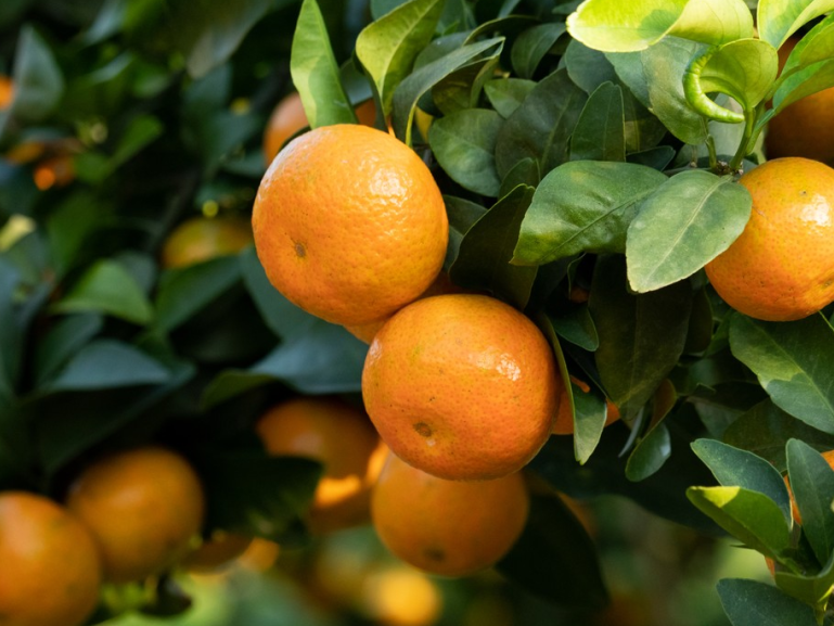 1761875114371134.png 1761875114371134.png