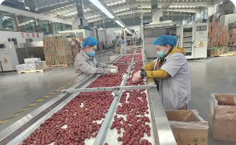 新疆：10條硬核措施支持發(fā)展農(nóng)產(chǎn)品加工業(yè)