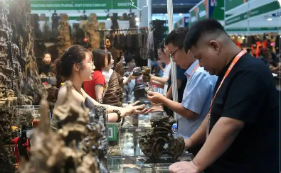 浙江企業(yè)拓展東盟市場(chǎng)迎來(lái)新機(jī)遇