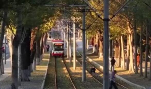 秋色宜人 帶動文旅市場持續(xù)火熱