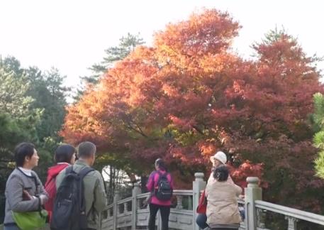 金秋時節(jié)“邂逅”絕美自然畫卷 以“景”為媒打造文旅消費(fèi)盛宴