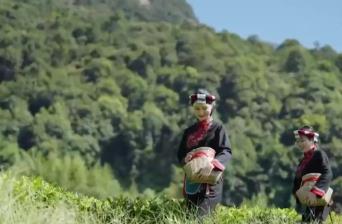 不同地域、獨具特色、歷史悠久 中國6項全球重要農(nóng)業(yè)文化遺產(chǎn)獲授牌