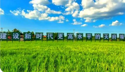 四川“天府糧倉”建設(shè)成勢(shì)見效