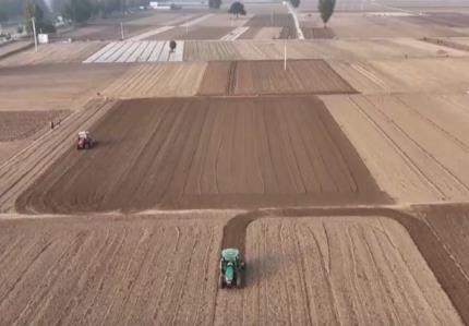 種足、種好、種優(yōu) “稻麥銜接”搶農(nóng)時(shí)夯實(shí)2026年夏糧豐收基礎(chǔ)