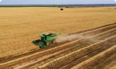 新疆：推動農(nóng)業(yè)發(fā)展向加工主導轉(zhuǎn)型