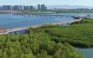 打造從山頂?shù)胶Ｑ蟮纳鷳B(tài)保護(hù)修復(fù)示范區(qū)  廈門發(fā)布生態(tài)保護(hù)修復(fù)三年行動規(guī)劃