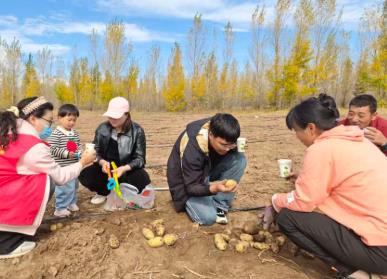 撿土豆 賞美景 內(nèi)蒙古旅游樂(lè)趣多