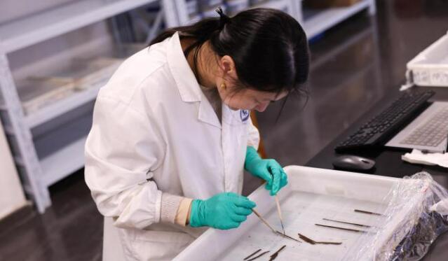 海昏侯墓考古發(fā)掘領(lǐng)隊(duì)：首次發(fā)現(xiàn)秦漢時(shí)期全本《詩(shī)經(jīng)》