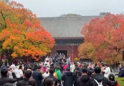 神州大地鋪展層林盡染美麗畫卷 “賞葉經(jīng)濟(jì)”激發(fā)多元消費(fèi)業(yè)態(tài)新活力