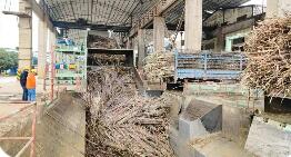 廣西持續(xù)優(yōu)化營商環(huán)境 經(jīng)營主體發(fā)展穩(wěn)中向好