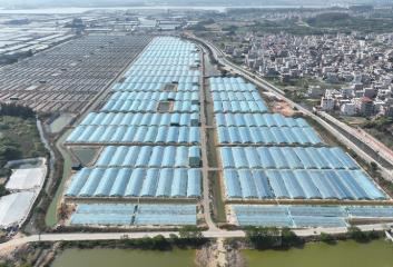 福建東山“興村富民工坊”織就共富新圖景