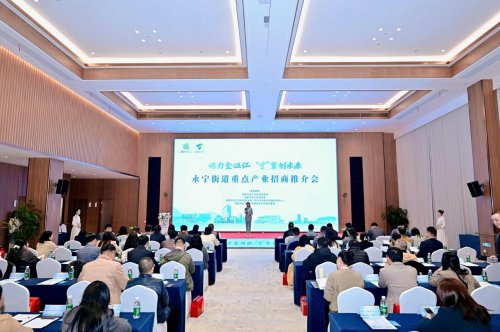 活力金溫江，“寧”聚創(chuàng)未來  永寧街道重點產業(yè)招商推介會成功舉辦