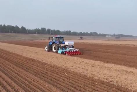 截至11月10日，全國(guó)冬小麥播種近七成