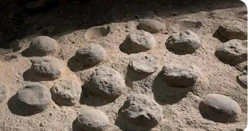 湖北十堰：近萬枚恐龍蛋化石有了“身份證ID”