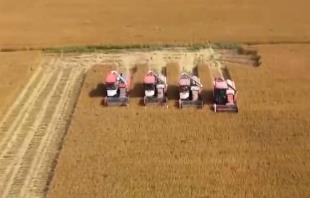 生產(chǎn)線(xiàn)上有多“拼”？加速！新裝備、新服務(wù)搬到田埂上 全力保障秋冬種