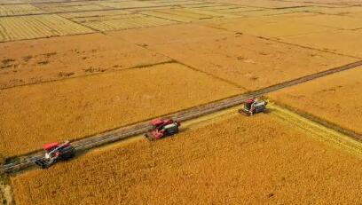 因地施策打造黑土地上的“綠色糧倉(cāng)”——來(lái)自產(chǎn)糧大省吉林的秋收一線觀察