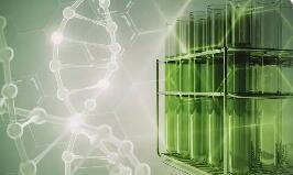 多重利好驅(qū)動(dòng) 萬億級(jí)生物制造賽道將迎黃金發(fā)展期