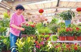 稅收數(shù)據(jù)顯示