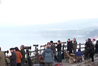 “觀鳥經(jīng)濟”點綠成“金” 賞天鵝、游濕地催熱冬日文旅消費