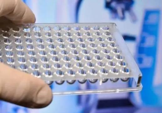 天津大學(xué)團(tuán)隊研發(fā)發(fā)熱伴血小板減少綜合征病毒檢測新方法