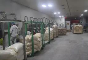 “中國(guó)大蒜之鄉(xiāng)”濟(jì)寧金鄉(xiāng)鄉(xiāng)村振興的“共富密碼”